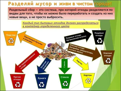 Мусорный коллапс. Почему возникли проблемы с вывозом отходов в Петербурге?  | ЖКХ | Город | АиФ Санкт-Петербург