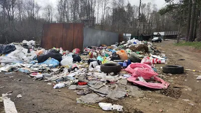 Решение проблемы или манипуляция: Глава ДНР поручил наказать компании по  вывозу мусора