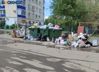 Вечный город накрыл мусорный кризис: в Риме опять проблема с вывозом  отходов | Euronews