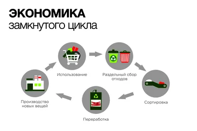 Город-свалка. Почему в Николаеве проблема мусора вышла из-под контроля