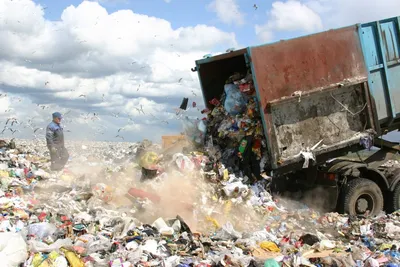 История появления и развития проблемы мусора