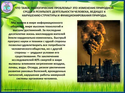 Экологические проблемы современности», в рамках программы «Охрана  окружающей среды» — МБУ Библиотека Первомайского Сельского Поселения