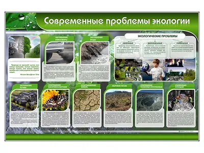 Левада-центр: экологические проблемы беспокоят 84% жителей России | ИА  Красная Весна
