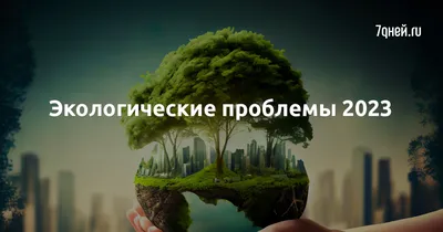 Россия: экологические проблемы не находят решения | Eurasianet