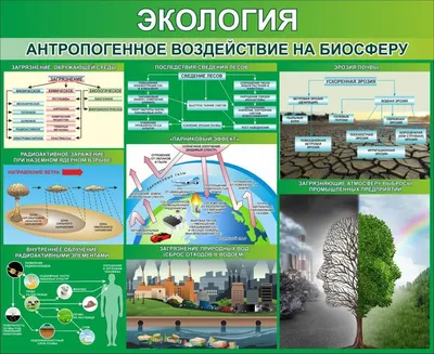 Выбросы высокие. Проблемы экологии в Поволжье обсудили на совещании Совбеза  | ОБЩЕСТВО: События | ОБЩЕСТВО | АиФ Самара