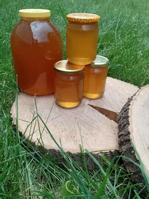 Фото к объявлению: продам мед. Соняшник, гречка, різнотрав' я — Agro-Ukraine