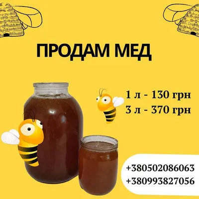 животныерастения_на_manokrb Продам мёд свежий гречка, донник. Телефон для  справок: 8-777-302-11-29.. | ВКонтакте