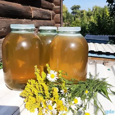 Продам мед з власної пасіки, Шумськ, Мед і продукти бджільництва — APKUA