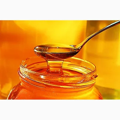 Продам мед — Agro-Kazakhstan