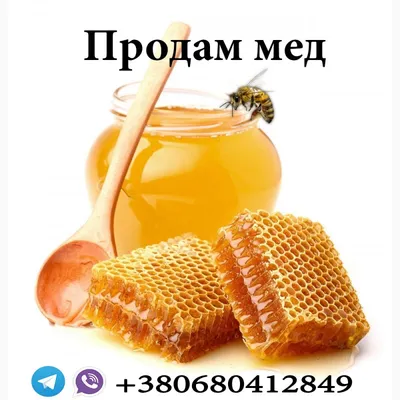 Продам мед з власної пасіки: 120 грн. - Продукты питания / напитки Львов на  Olx