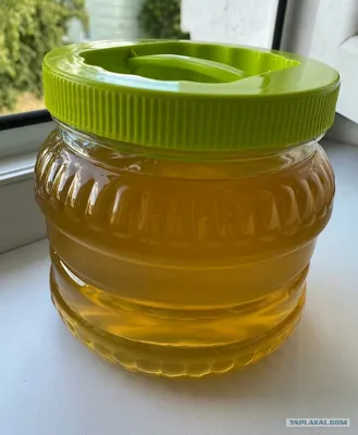 Продам мёд прямо с личной пасеки - SOCHI.com - объявления