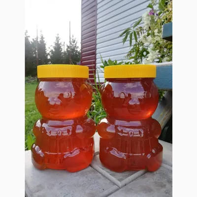 Продам мед — Тижневик «ЕХО»