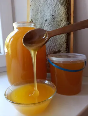 Продам мед з власної пасіки, різнотрав'я 2020 - Хмельницька обл —  Agro-Ukraine