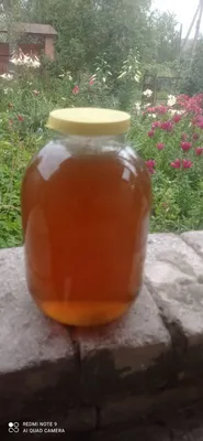 Продам мед свежий 2021 года разнотравие 1литр 1000 руб в Симферополе