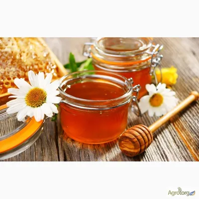 Продам мед, натуральный,без добавок , цена 9 р. купить в Барановичах на  Куфаре - Объявление №208847707