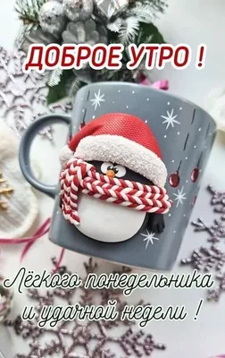 Доброе февральское утро!# #Лëгкого ПОНЕДЕЛЬНИКА!# #Хорошей, удачной н... |  TikTok