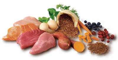 33+ самых низкокалорийных продуктов: список низкокалорийных продуктов для  похудения с калориями, рецепты простых блюд на каждый день
