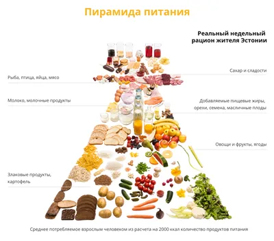 Иллюстрация Набор иконок Продукты питания в стиле 2d |