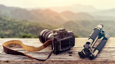 Как делать профессиональные фотографии, советы опытного фотографа | Мой  старый компьютер | Дзен