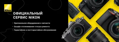 Где хранить фотографии и видео, чтобы не занимать место на iPhone |  AppleInsider.ru