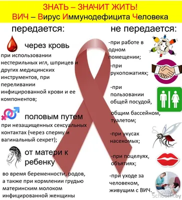 Профилактика ВИЧ-инфекции -Профилактика ВИЧ-инфекции - ГАПОУ СО \"УГК им.  И.И. Ползунова\"