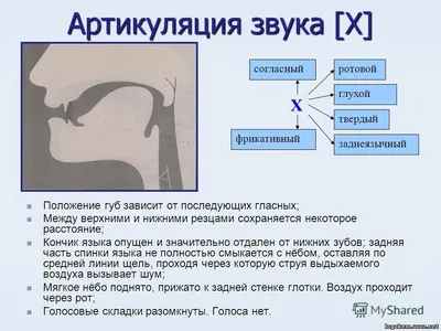 Хатнюкова-Шишкова Т. Г, Логопедия. Дислалия.indd