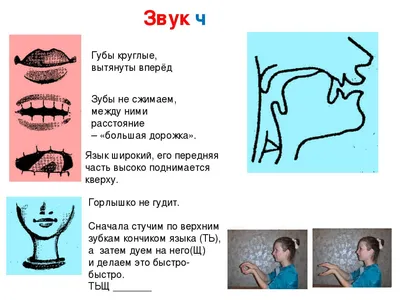 Артикуляция звуков в графическом изображении. Учебно-демонстрационный  материал | Дефектология Проф