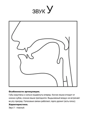 Логопедический профиль,особенности артикуляции,характеристика.Звук –  единица абстрактная. Она не подкреплена сильной чувственной основой, как  буква. Букву можно создать своей рукой, нарисовать, вырезать (т.е. включить  наглядно-действенное мышление). Детям