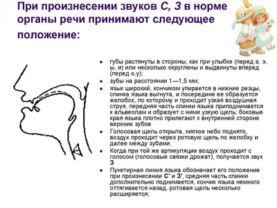 Иллюстрация 2 из 5 для Исправление звукопроизношения у детей:  учебно-методическое пособие - Вера Акименко | Лабиринт - книги. Источник:  Специалист