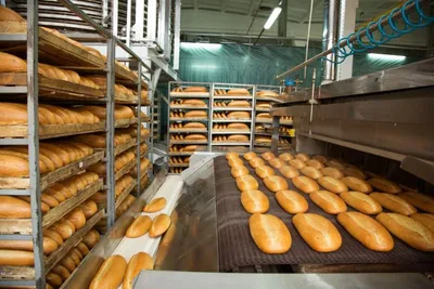Производство хлеба. стоковое фото. изображение насчитывающей древесина -  208739954