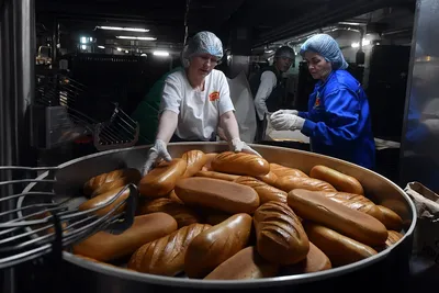Производство хлеба и хлебобулочных изделий — обзор отрасли промышленности