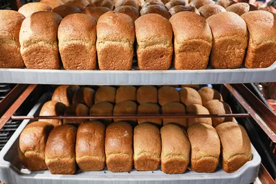 В Тюменской области выросло производство хлеба, мяса, молочных продуктов и  выпечки | Ямал-Медиа