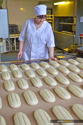 В Финляндии начнут производство хлеба из насекомых | Телеканал  Санкт-Петербург