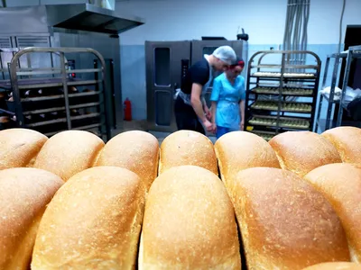 Выпечка хлеба возобновлена на шести предприятиях в освобожденных землях -  Экономика - ДАН