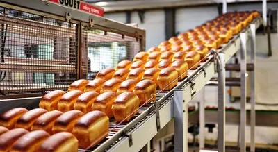 Пригородный\" запустил производство собственного хлеба | Комиинформ