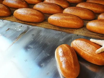 Производство хлеба сократилось в Казахстане - АПК Новости