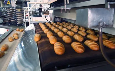 Производство хлеба: основные этапы технологического процесса
