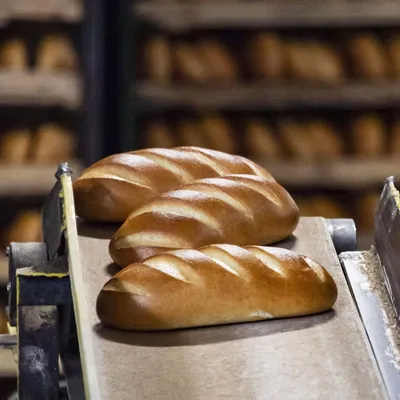Производство хлеба упало в Казахстане - Vera.kz | Новости, События,  Происшествия, Истории