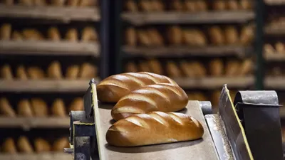 Как рождается хлеб. Старое и новое на Кушелевском хлебозаводе