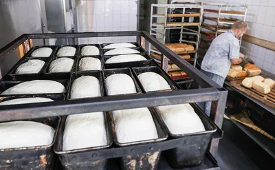 Пекари назвали причины подорожания производства хлеба — РБК