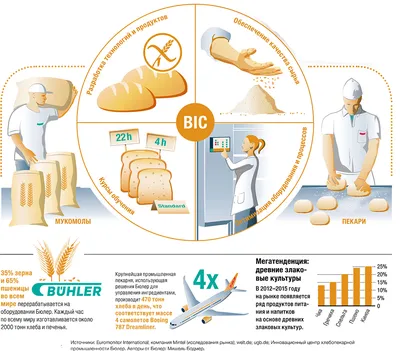 В Подмосковье на 7,2% увеличился объем производства хлеба с начала года - В  регионе - РИАМО в Реутове
