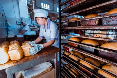 Свежий хлеб во Владивостоке: как работает пекарня в гипермаркете \"Три Кота\"  - PrimaMedia.ru