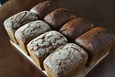 Немцы наладят на Тамбовщине производство хлеба — Новый Тамбов