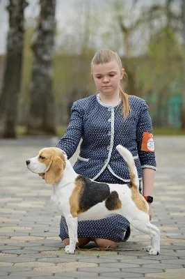 Проказник энджело крутой шкафчик (Много фото!) - fotodekormebel.ru