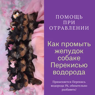 Хотите оздоровиться?