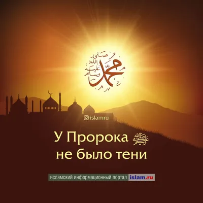 Почему у Пророка ﷺ не было тени? | islam.ru