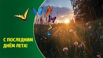 Конкурс рисунков «Прощай лето» 2023, Прохоровский район — дата и место  проведения, программа мероприятия.
