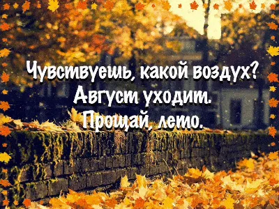 До свиданья, лето! Здравствуй, осень! Стих-я автор (Дружана) / Стихи.ру