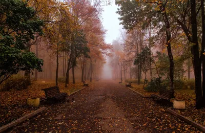 Стихотворение «Прощание с осенью», поэт Сорокин Геннадий