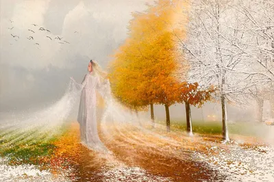Фотография Прощание с осенью №34519 - «Осенняя пора - очей очарованье...»  (10.01.2024 - 17:55)